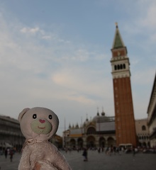 Bear - Piazza San Marco - Venice  Italy